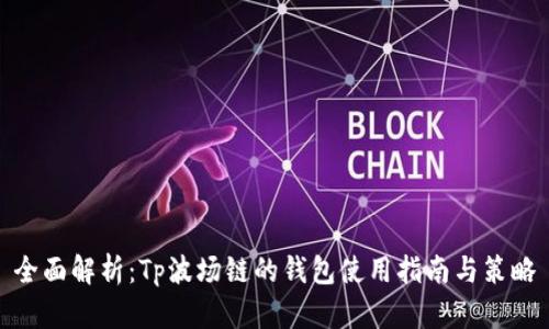 全面解析：Tp波场链的钱包使用指南与策略