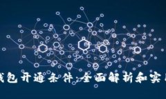 数字钱包开通条件：全面