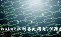  如何应对tpWallet私钥丢失