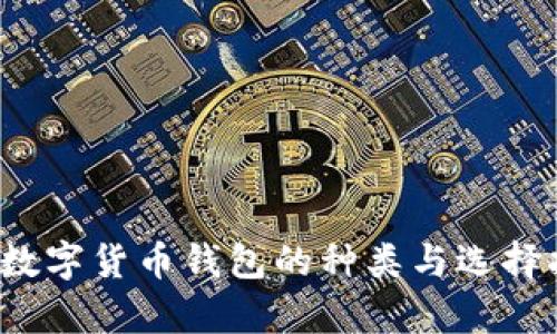  存数字货币钱包的种类与选择指南