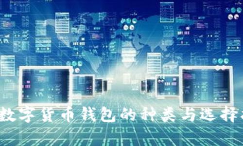  存数字货币钱包的种类与选择指南