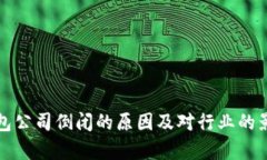 数字钱包公司倒闭的原因
