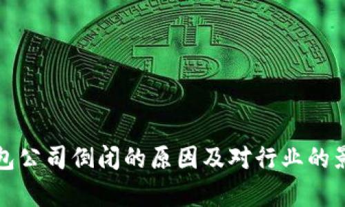 数字钱包公司倒闭的原因及对行业的影响分析