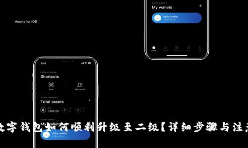 建行数字钱包如何顺利升级至二级？详细步骤与注意事项