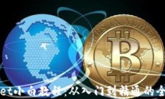 tpWallet小白教程：从入门到