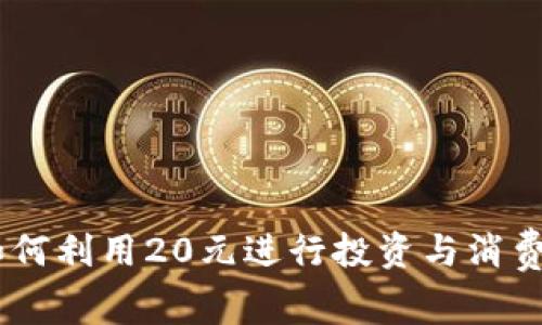 数字钱包：如何利用20元进行投资与消费的最佳策略