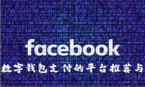  支持数字钱包支付的平台推荐与分析 