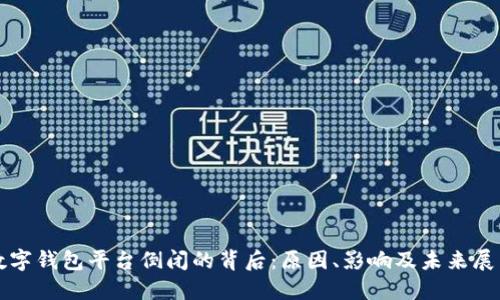数字钱包平台倒闭的背后：原因、影响及未来展望
