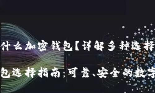 新加坡可以用什么加密钱包？详解多种选择和使用指南

新加坡加密钱包选择指南：可靠、安全的数字资产管理工具