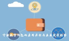 宁波数字钱包的启用历程