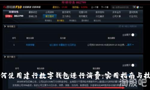 如何使用建行数字钱包进行消费：实用指南与技巧