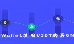 如何通过tpWallet使用USDT购