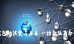 数字钱包的演变与未来：