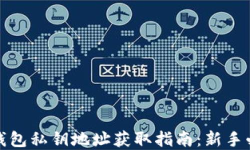 
tp钱包私钥地址获取指南：新手必看