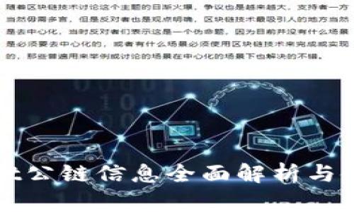 tpWallet公链信息全面解析与使用指南