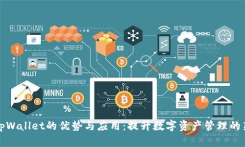 探索tpWallet的优势与应用：提升数字资产管理的新方式