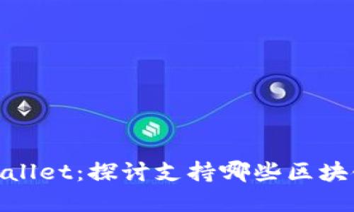 BNB与tpWallet：探讨支持哪些区块链及其优势