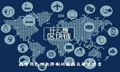 数字钱包付款限制的原因及解决方案