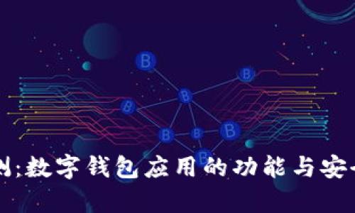 全面评测：数字钱包应用的功能与安全性分析