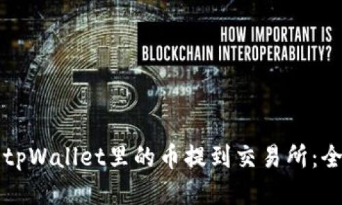 如何将tpWallet里的币提到交易所：全面指南