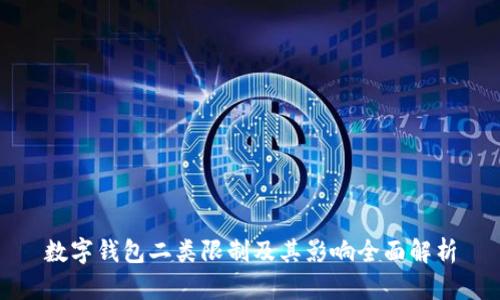数字钱包二类限制及其影响全面解析