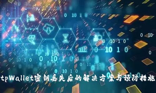 tpWallet密钥丢失后的解决方案与预防措施