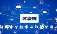 全方位解析中营数字云钱