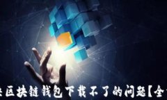 如何解决区块链钱包下载