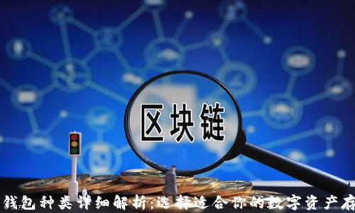 
区块链钱包种类详细解析：选择适合你的数字资产存储方案