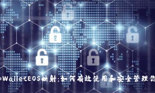 全面了解tpWalletEOS映射：如何有效使用和安全管理你的EOS资产