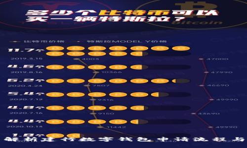 全面解析建行数字钱包申请流程与功能