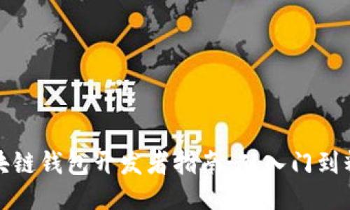 区块链钱包开发者指南：从入门到精通