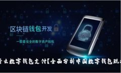 国人用什么数字钱包支付