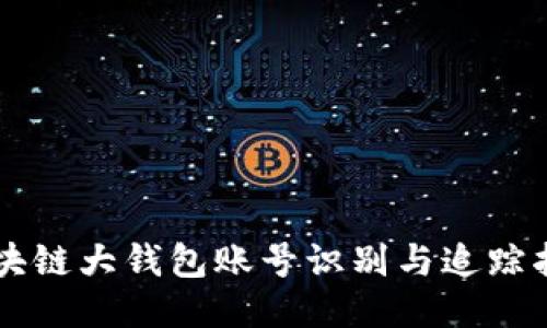 区块链大钱包账号识别与追踪指南