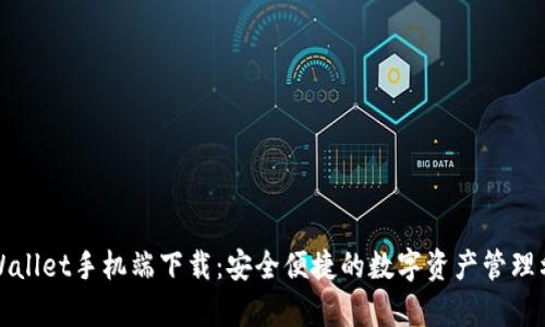 tpWallet手机端下载：安全便捷的数字资产管理利器