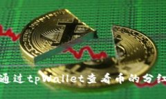 如何通过tpWallet查看币的分