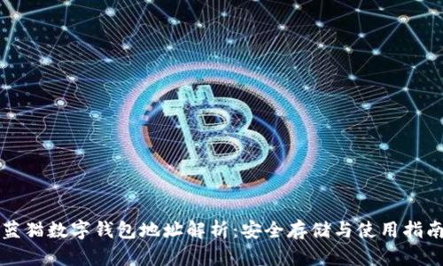 蓝猫数字钱包地址解析：安全存储与使用指南