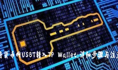 如何将货币网USBT转入TP Wallet：详细步骤与注意事项