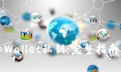 如何导入tpWallet私钥：完整指南及注意事项