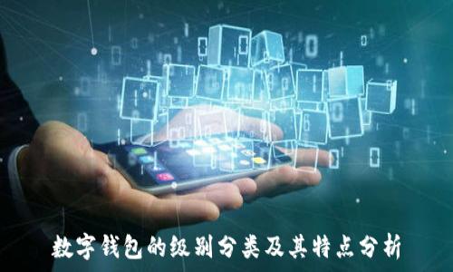   
数字钱包的级别分类及其特点分析