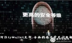 如何往tpWallet充钱：全面指