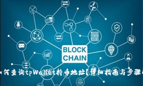: 如何查询tpWallet持币地址？详细指南与步骤解析