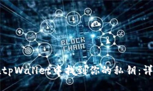 如何在tpWallet中找到你的私钥：详细指南
