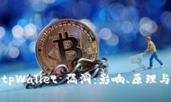 深入探讨tpWallet 漏洞：影