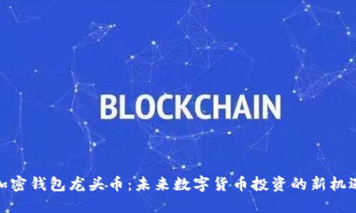 加密钱包龙头币：未来数字货币投资的新机遇