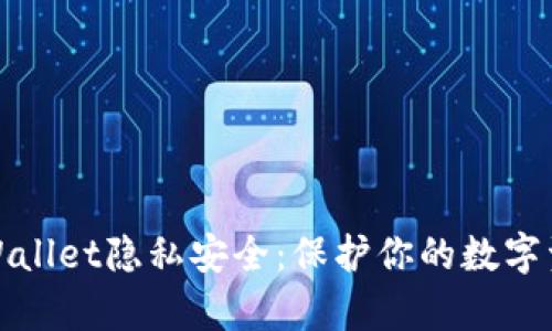 如何确保您的tpWallet隐私安全：保护你的数字资产不被他人观察