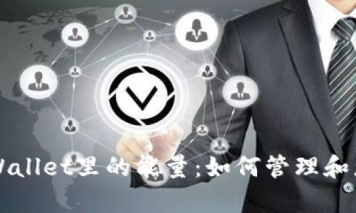 深入探讨tpWallet里的能量：如何管理和您的数字资产
