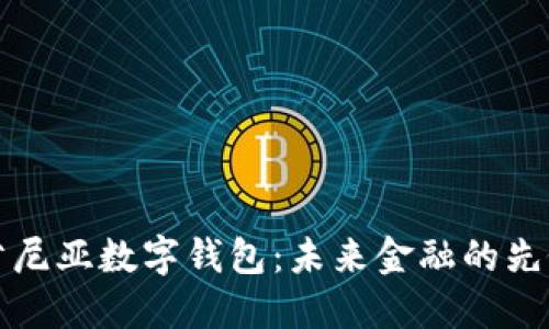 肯尼亚数字钱包：未来金融的先锋