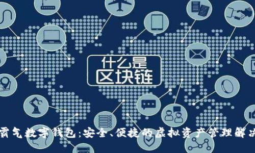 下载霸气数字钱包：安全、便捷的虚拟资产管理解决方案