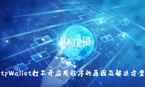 tpWallet打不开应用程序的原因及解决方案